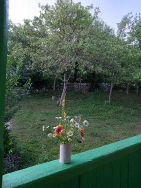 Guest House Guliada